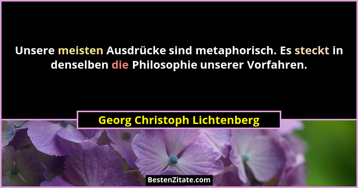 Unsere meisten Ausdrücke sind metaphorisch. Es steckt in denselben die Philosophie unserer Vorfahren.... - Georg Christoph Lichtenberg