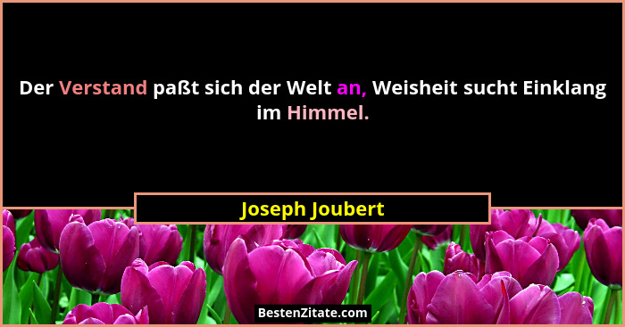 Der Verstand paßt sich der Welt an, Weisheit sucht Einklang im Himmel.... - Joseph Joubert
