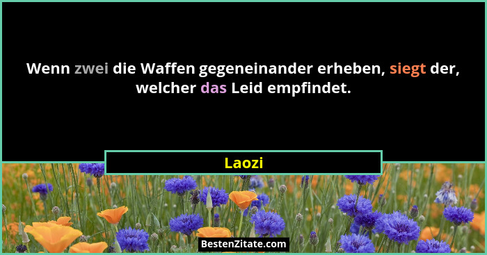 Wenn zwei die Waffen gegeneinander erheben, siegt der, welcher das Leid empfindet.... - Laozi