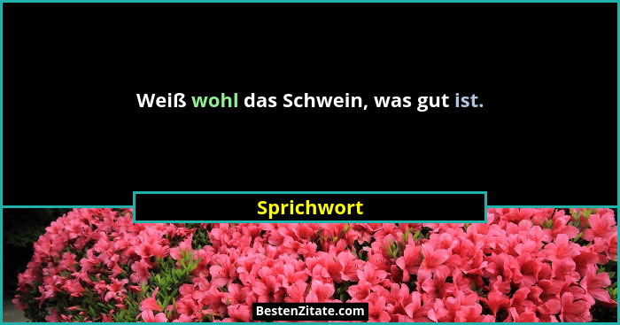 Weiß wohl das Schwein, was gut ist.... - Sprichwort