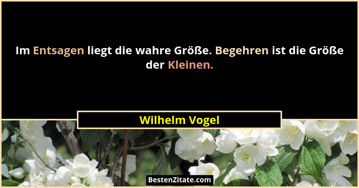 Im Entsagen liegt die wahre Größe. Begehren ist die Größe der Kleinen.... - Wilhelm Vogel