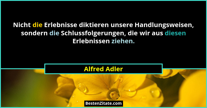 Nicht die Erlebnisse diktieren unsere Handlungsweisen, sondern die Schlussfolgerungen, die wir aus diesen Erlebnissen ziehen.... - Alfred Adler