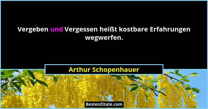 Vergeben und Vergessen heißt kostbare Erfahrungen wegwerfen.... - Arthur Schopenhauer