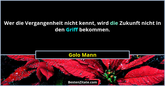 Wer die Vergangenheit nicht kennt, wird die Zukunft nicht in den Griff bekommen.... - Golo Mann
