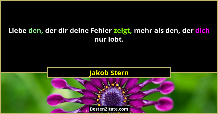 Liebe den, der dir deine Fehler zeigt, mehr als den, der dich nur lobt.... - Jakob Stern