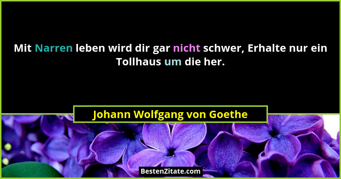 Mit Narren leben wird dir gar nicht schwer, Erhalte nur ein Tollhaus um die her.... - Johann Wolfgang von Goethe