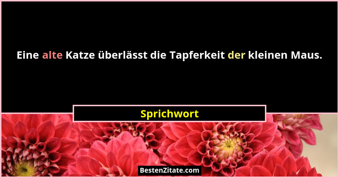 Eine alte Katze überlässt die Tapferkeit der kleinen Maus.... - Sprichwort