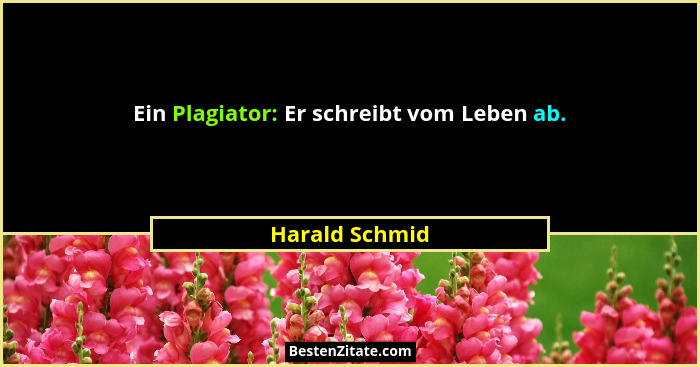 Ein Plagiator: Er schreibt vom Leben ab.... - Harald Schmid