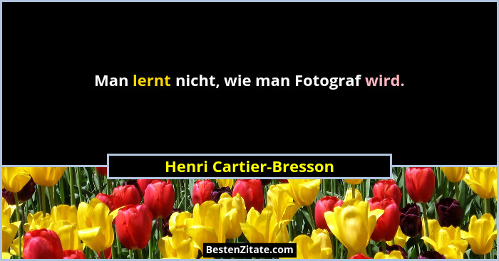 Man lernt nicht, wie man Fotograf wird.... - Henri Cartier-Bresson