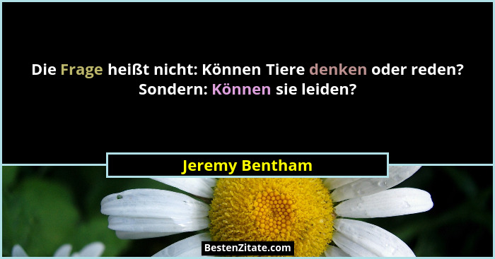 Die Frage heißt nicht: Können Tiere denken oder reden? Sondern: Können sie leiden?... - Jeremy Bentham