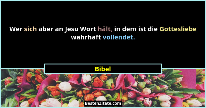 Wer sich aber an Jesu Wort hält, in dem ist die Gottesliebe wahrhaft vollendet.... - Bibel