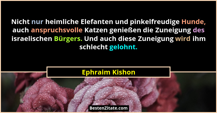 Nicht nur heimliche Elefanten und pinkelfreudige Hunde, auch anspruchsvolle Katzen genießen die Zuneigung des israelischen Bürgers. U... - Ephraim Kishon
