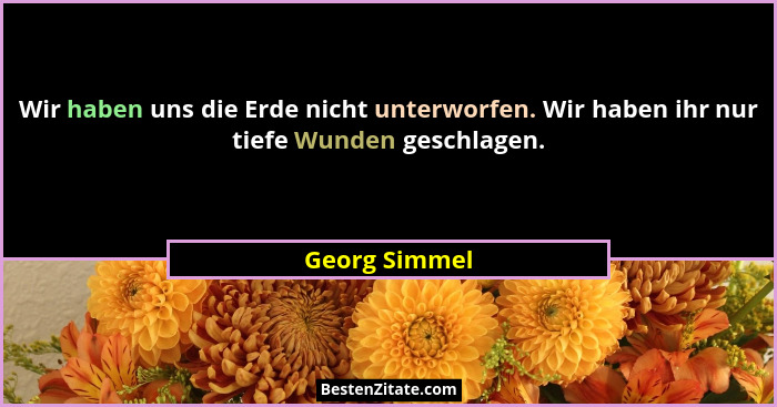 Wir haben uns die Erde nicht unterworfen. Wir haben ihr nur tiefe Wunden geschlagen.... - Georg Simmel