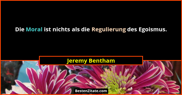 Die Moral ist nichts als die Regulierung des Egoismus.... - Jeremy Bentham