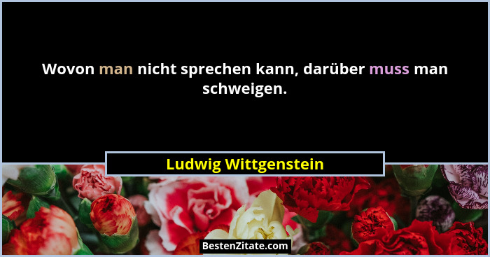 Wovon man nicht sprechen kann, darüber muss man schweigen.... - Ludwig Wittgenstein