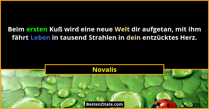 Beim ersten Kuß wird eine neue Welt dir aufgetan, mit ihm fährt Leben in tausend Strahlen in dein entzücktes Herz.... - Novalis
