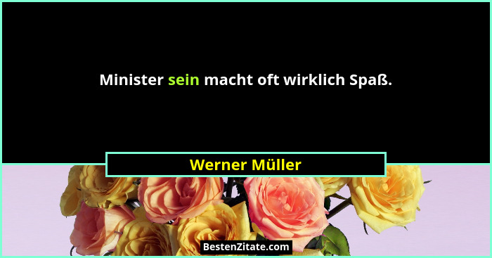 Minister sein macht oft wirklich Spaß.... - Werner Müller