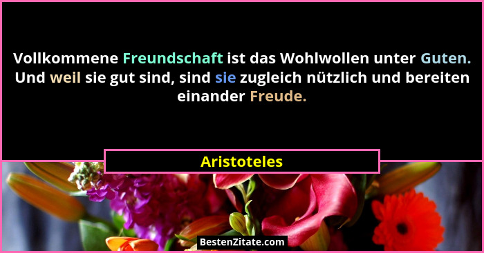 Vollkommene Freundschaft ist das Wohlwollen unter Guten. Und weil sie gut sind, sind sie zugleich nützlich und bereiten einander Freude.... - Aristoteles