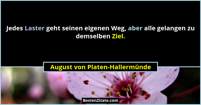 Jedes Laster geht seinen eigenen Weg, aber alle gelangen zu demselben Ziel.... - August von Platen-Hallermünde