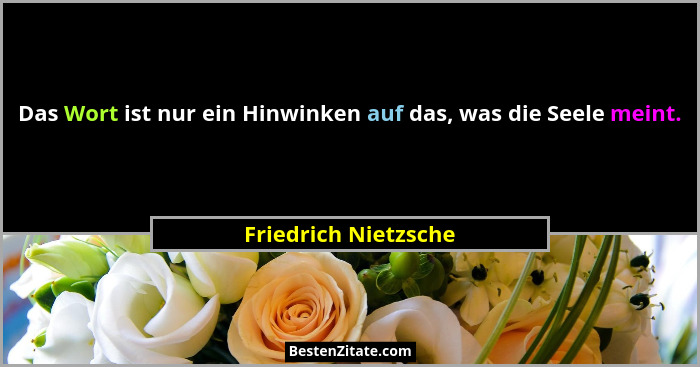 Das Wort ist nur ein Hinwinken auf das, was die Seele meint.... - Friedrich Nietzsche