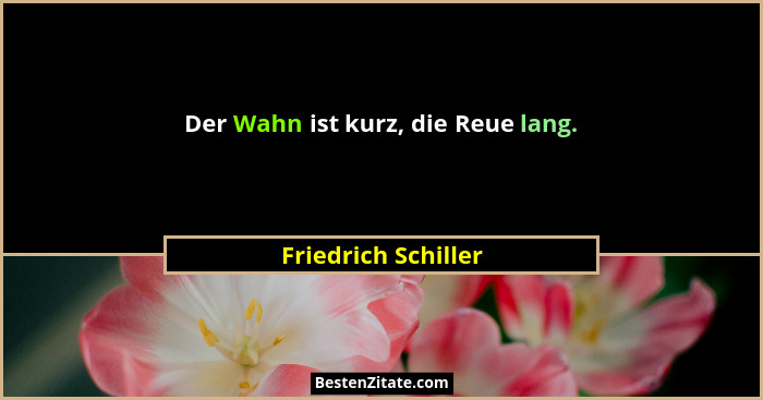 Der Wahn ist kurz, die Reue lang.... - Friedrich Schiller