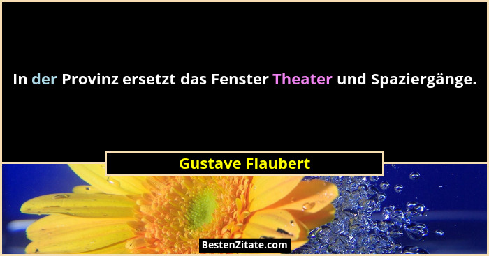 In der Provinz ersetzt das Fenster Theater und Spaziergänge.... - Gustave Flaubert