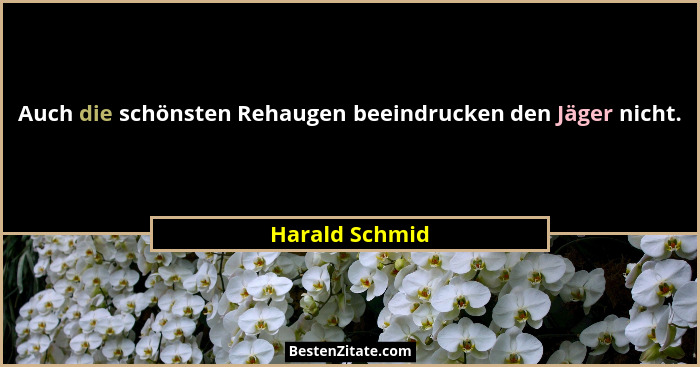 Auch die schönsten Rehaugen beeindrucken den Jäger nicht.... - Harald Schmid