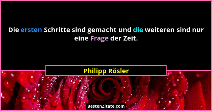Die ersten Schritte sind gemacht und die weiteren sind nur eine Frage der Zeit.... - Philipp Rösler