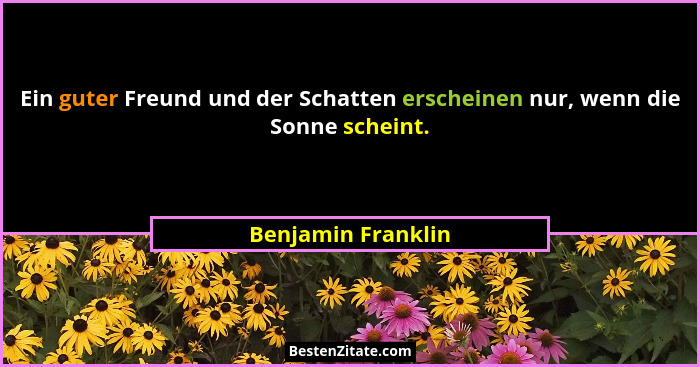 Ein guter Freund und der Schatten erscheinen nur, wenn die Sonne scheint.... - Benjamin Franklin