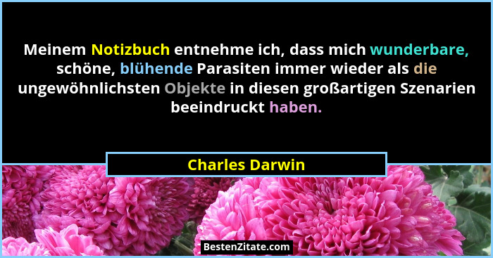 Meinem Notizbuch entnehme ich, dass mich wunderbare, schöne, blühende Parasiten immer wieder als die ungewöhnlichsten Objekte in dies... - Charles Darwin