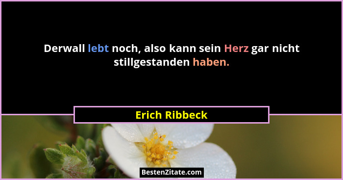 Derwall lebt noch, also kann sein Herz gar nicht stillgestanden haben.... - Erich Ribbeck