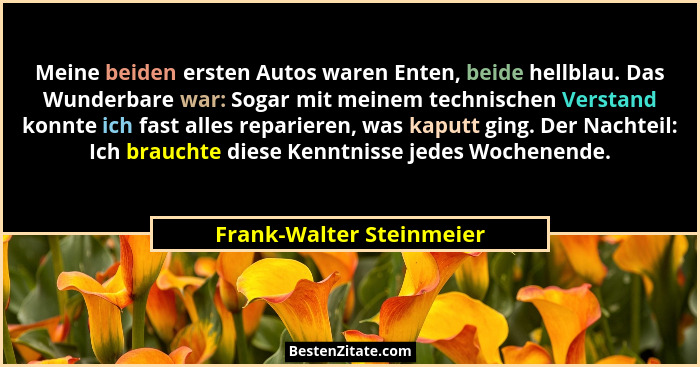 Meine beiden ersten Autos waren Enten, beide hellblau. Das Wunderbare war: Sogar mit meinem technischen Verstand konnte ich... - Frank-Walter Steinmeier