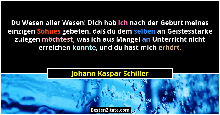 Du Wesen aller Wesen! Dich hab ich nach der Geburt meines einzigen Sohnes gebeten, daß du dem selben an Geistesstärke zulegen... - Johann Kaspar Schiller