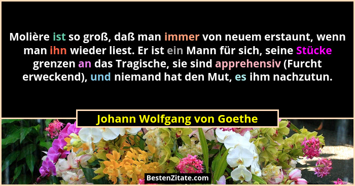 Molière ist so groß, daß man immer von neuem erstaunt, wenn man ihn wieder liest. Er ist ein Mann für sich, seine Stücke... - Johann Wolfgang von Goethe