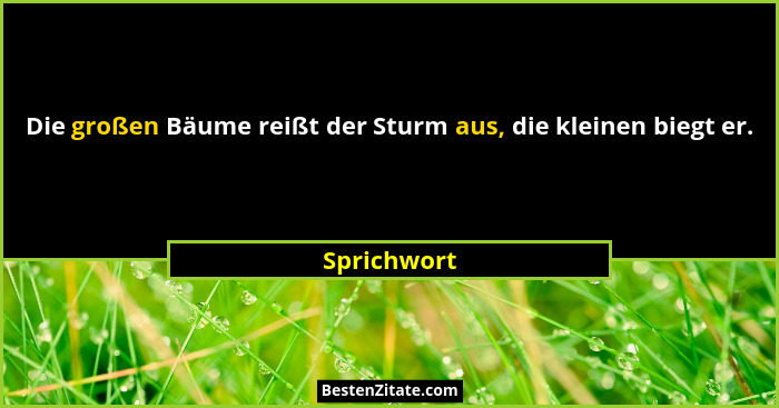 Die großen Bäume reißt der Sturm aus, die kleinen biegt er.... - Sprichwort