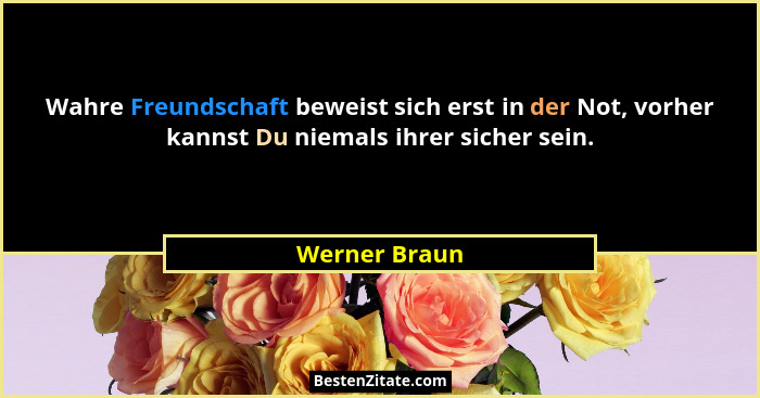 Wahre Freundschaft beweist sich erst in der Not, vorher kannst Du niemals ihrer sicher sein.... - Werner Braun