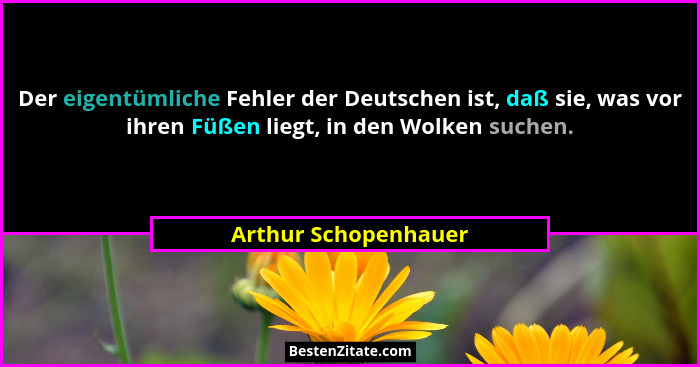 Der eigentümliche Fehler der Deutschen ist, daß sie, was vor ihren Füßen liegt, in den Wolken suchen.... - Arthur Schopenhauer