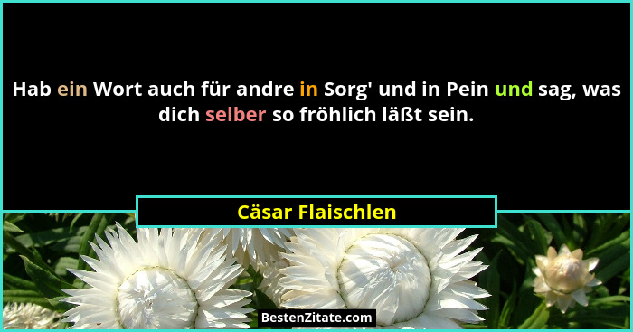 Hab ein Wort auch für andre in Sorg' und in Pein und sag, was dich selber so fröhlich läßt sein.... - Cäsar Flaischlen