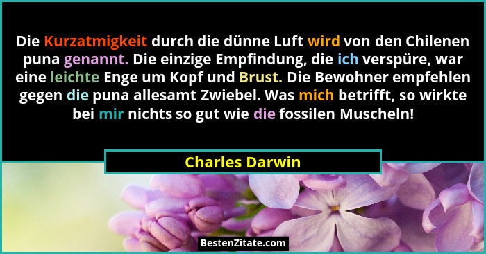 Die Kurzatmigkeit durch die dünne Luft wird von den Chilenen puna genannt. Die einzige Empfindung, die ich verspüre, war eine leichte... - Charles Darwin