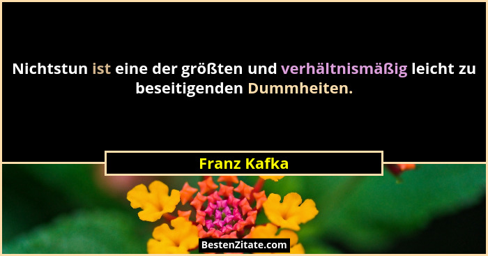 Nichtstun ist eine der größten und verhältnismäßig leicht zu beseitigenden Dummheiten.... - Franz Kafka