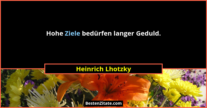 Hohe Ziele bedürfen langer Geduld.... - Heinrich Lhotzky