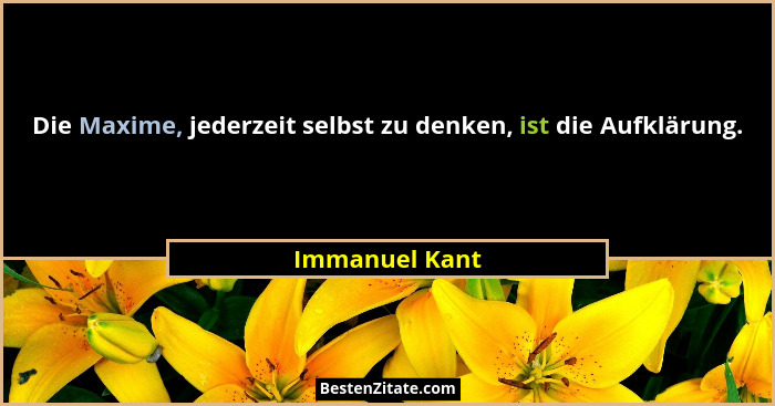 Die Maxime, jederzeit selbst zu denken, ist die Aufklärung.... - Immanuel Kant