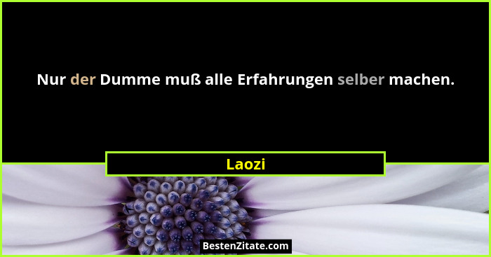 Nur der Dumme muß alle Erfahrungen selber machen.... - Laozi
