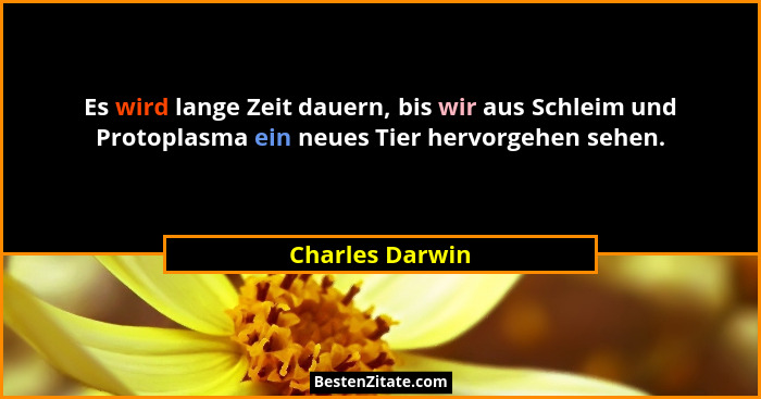 Es wird lange Zeit dauern, bis wir aus Schleim und Protoplasma ein neues Tier hervorgehen sehen.... - Charles Darwin