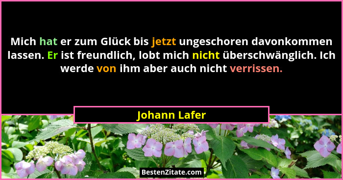 Mich hat er zum Glück bis jetzt ungeschoren davonkommen lassen. Er ist freundlich, lobt mich nicht überschwänglich. Ich werde von ihm a... - Johann Lafer