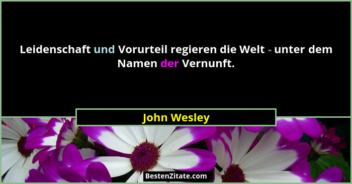 Leidenschaft und Vorurteil regieren die Welt - unter dem Namen der Vernunft.... - John Wesley