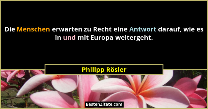 Die Menschen erwarten zu Recht eine Antwort darauf, wie es in und mit Europa weitergeht.... - Philipp Rösler