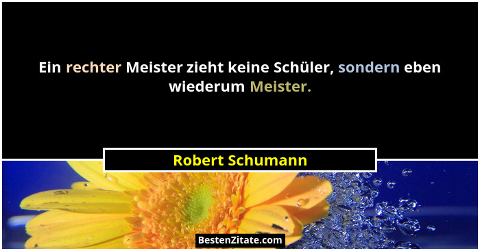 Ein rechter Meister zieht keine Schüler, sondern eben wiederum Meister.... - Robert Schumann