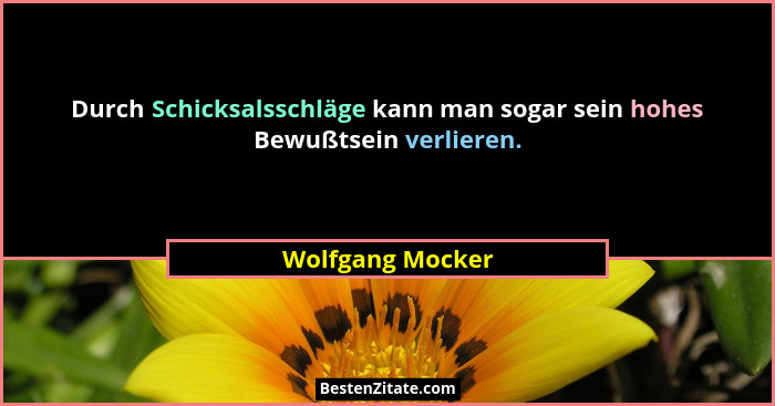 Durch Schicksalsschläge kann man sogar sein hohes Bewußtsein verlieren.... - Wolfgang Mocker