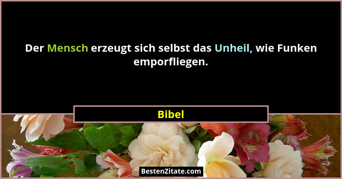 Der Mensch erzeugt sich selbst das Unheil, wie Funken emporfliegen.... - Bibel
